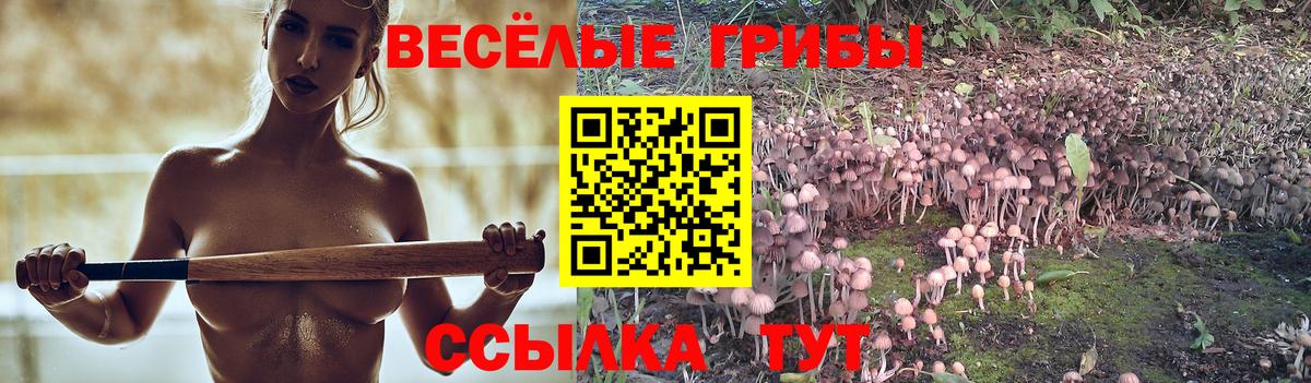 Галлюциногенные грибы прущие грибы  Галлюциногенные грибы MAGIC MUSHROOMS  Новочеркасск  Вход с VPN 